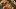 francesca_pasta_burger_bar_pizza_worms