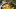 francesca_spargel_schnitzel_restaurant_worms