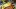 restaurant_worms_spargel_steak_wein