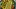 spargel_salz_kartofel_restaurant_worms